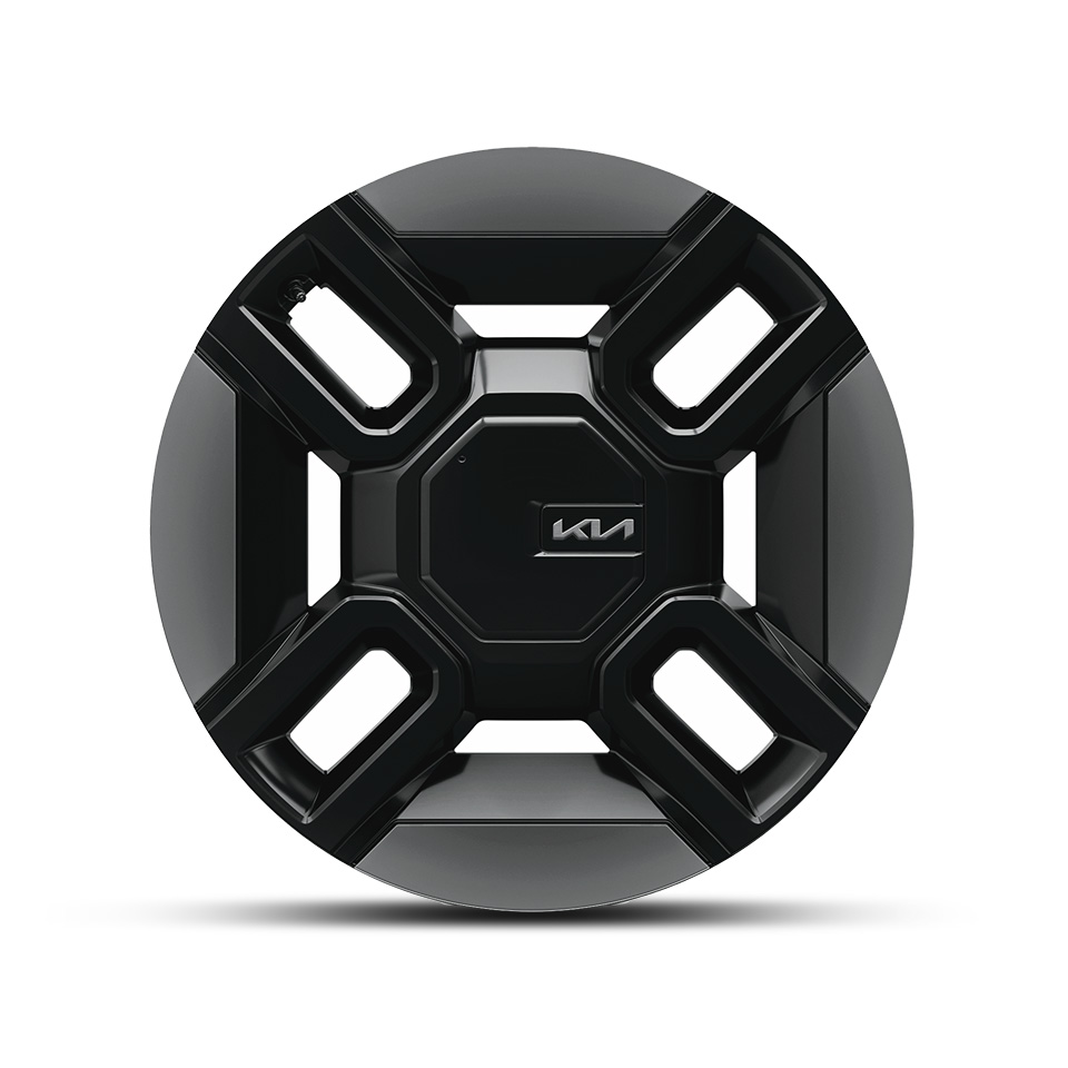 EV9 21 Zoll