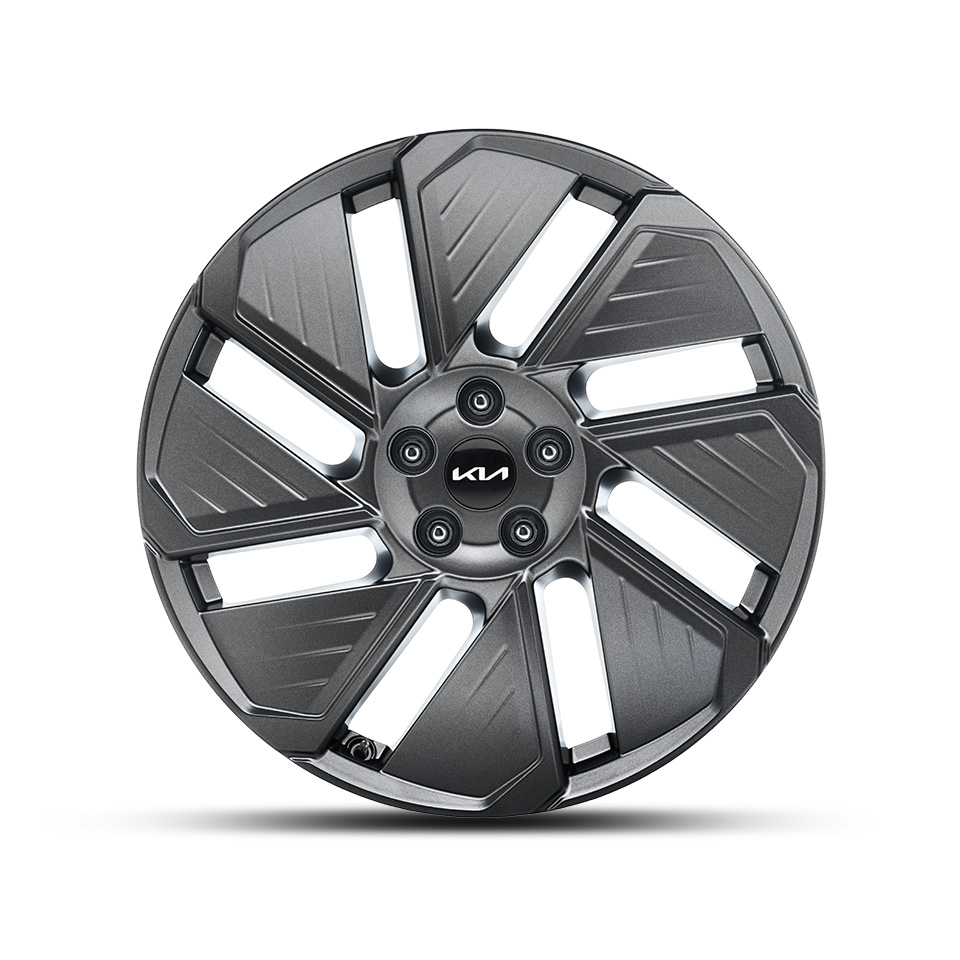 EV9 20 Zoll